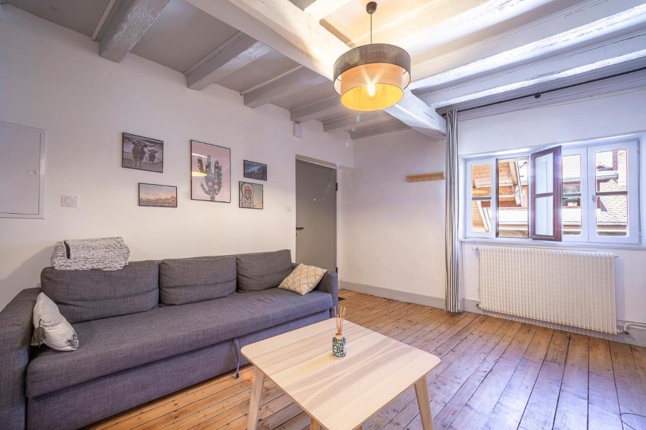 Bel Appartement, 2 Chambres, Annecy Coeur De Ville Экстерьер фото